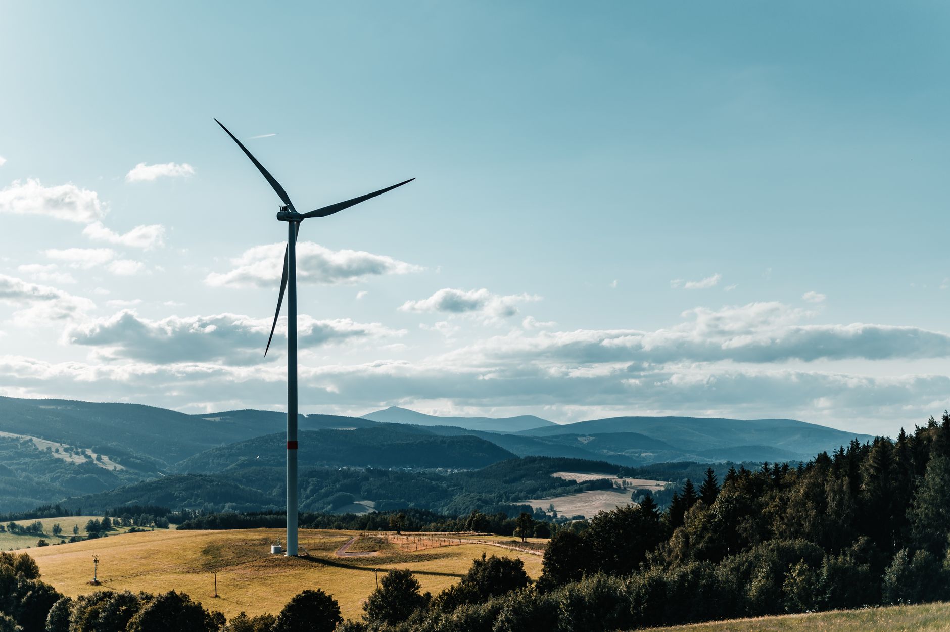 environmental impact of AI